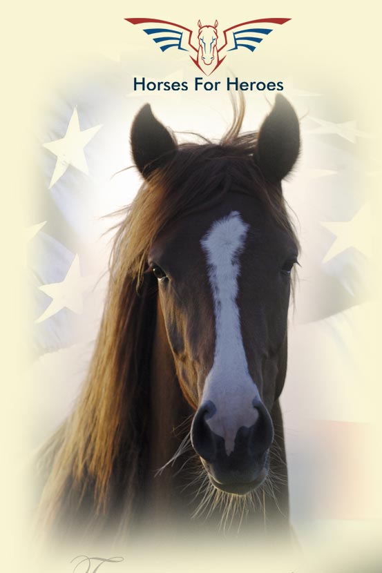 horses for heroes